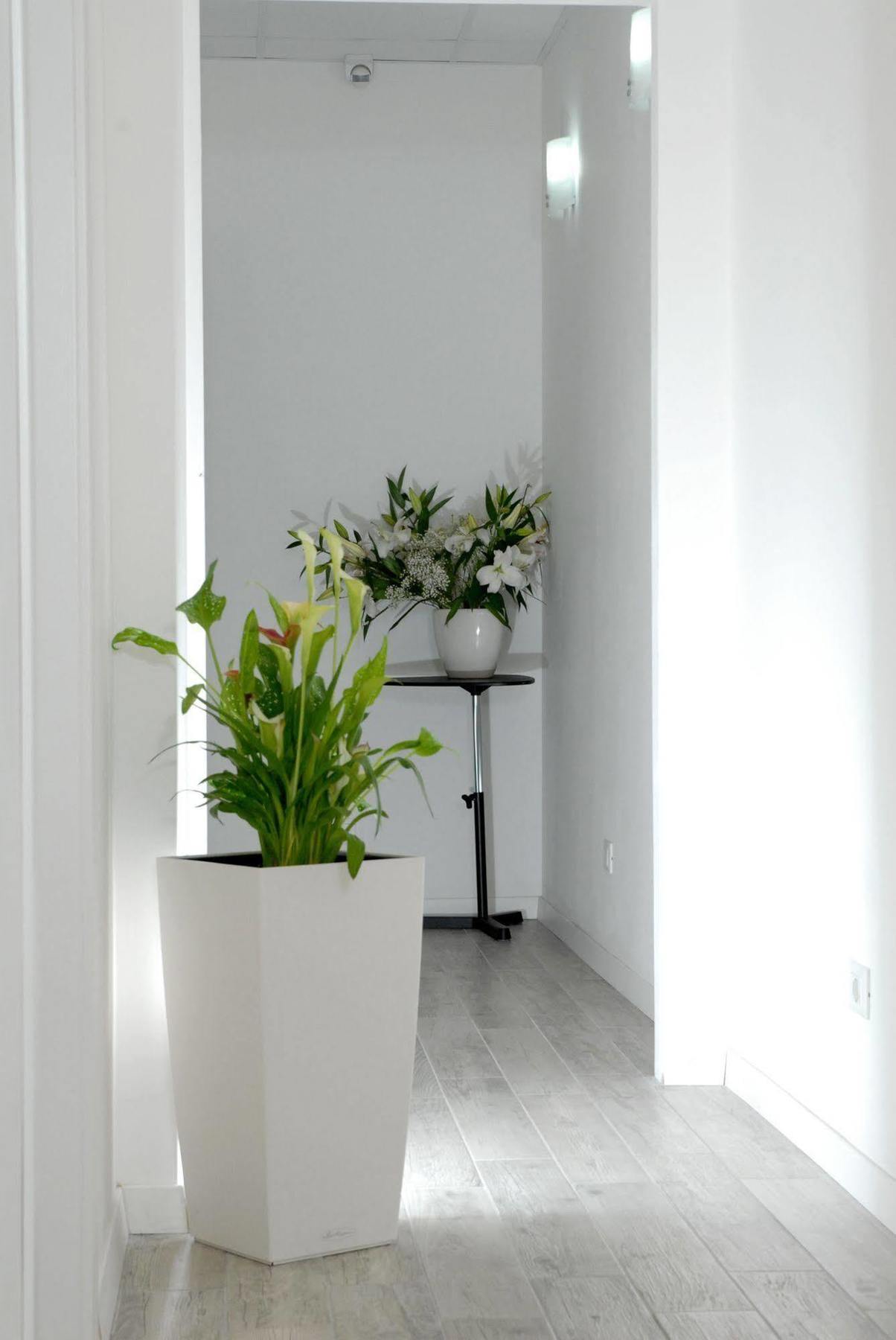 Gardenia Suite Rome Exterior photo